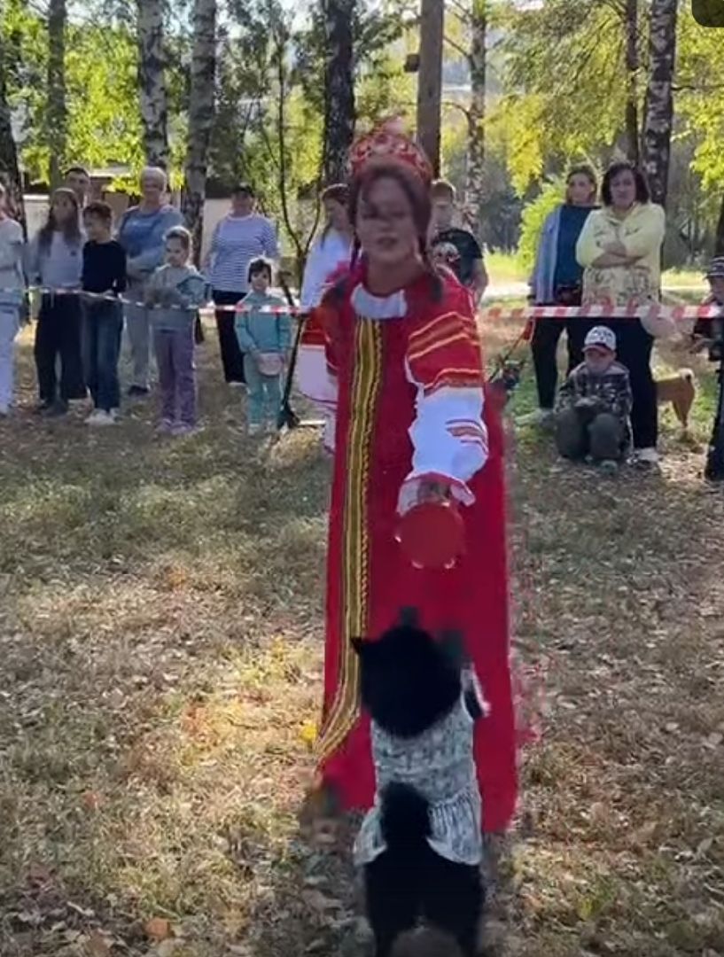 долгопрудный, арт-базар, дизайнеры, дрессура,центральный парк, x-легион,