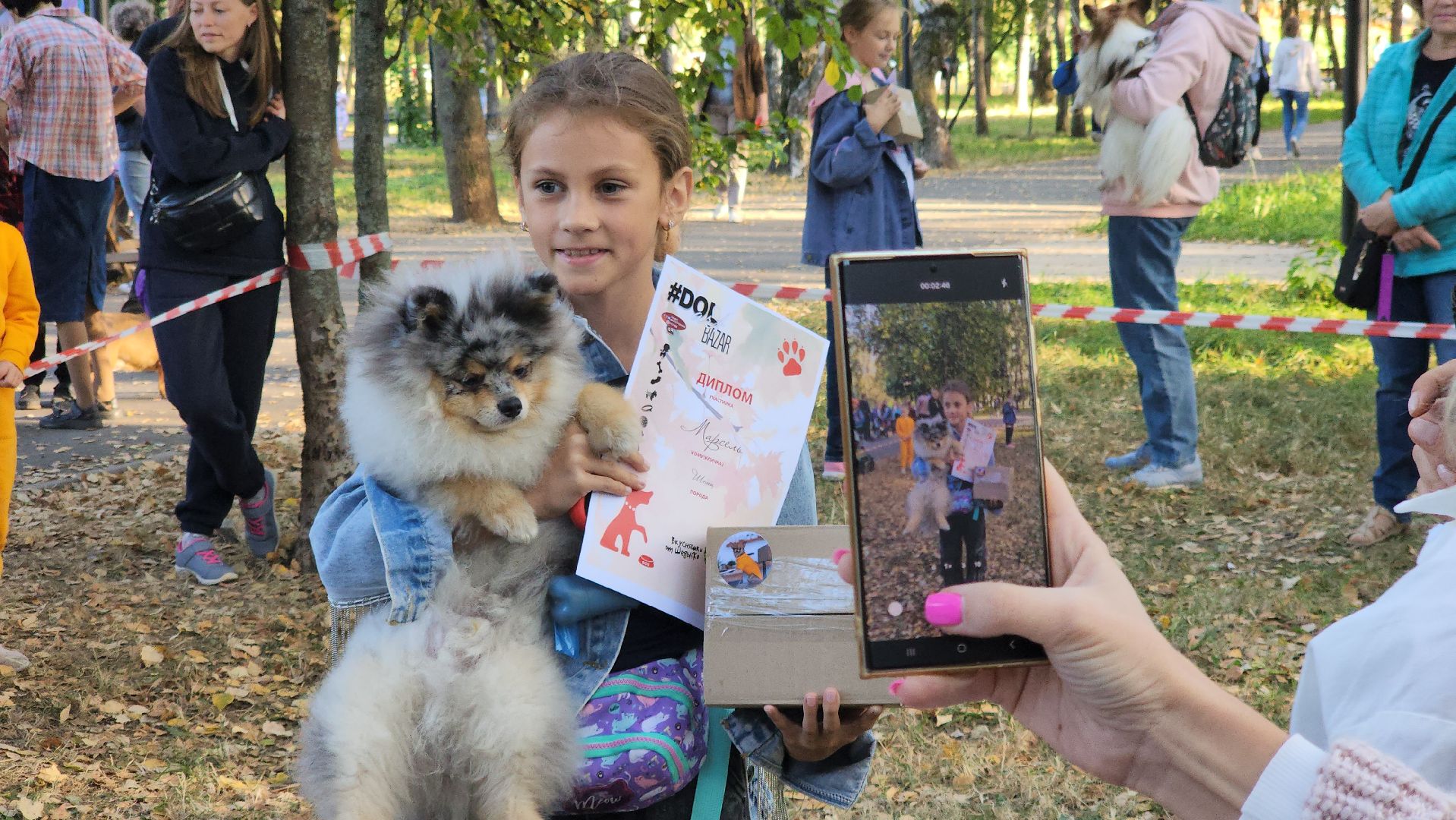 долгопрудный, арт-базар, дизайнеры, дрессура,центральный парк, x-легион,