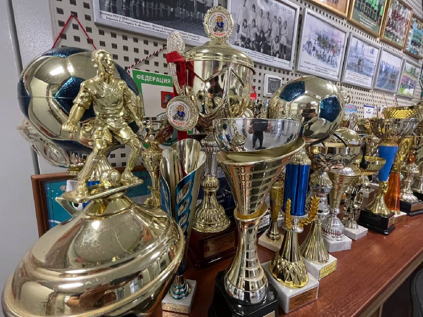 Дмитров, ФОК в Рогачево, Минспорта,