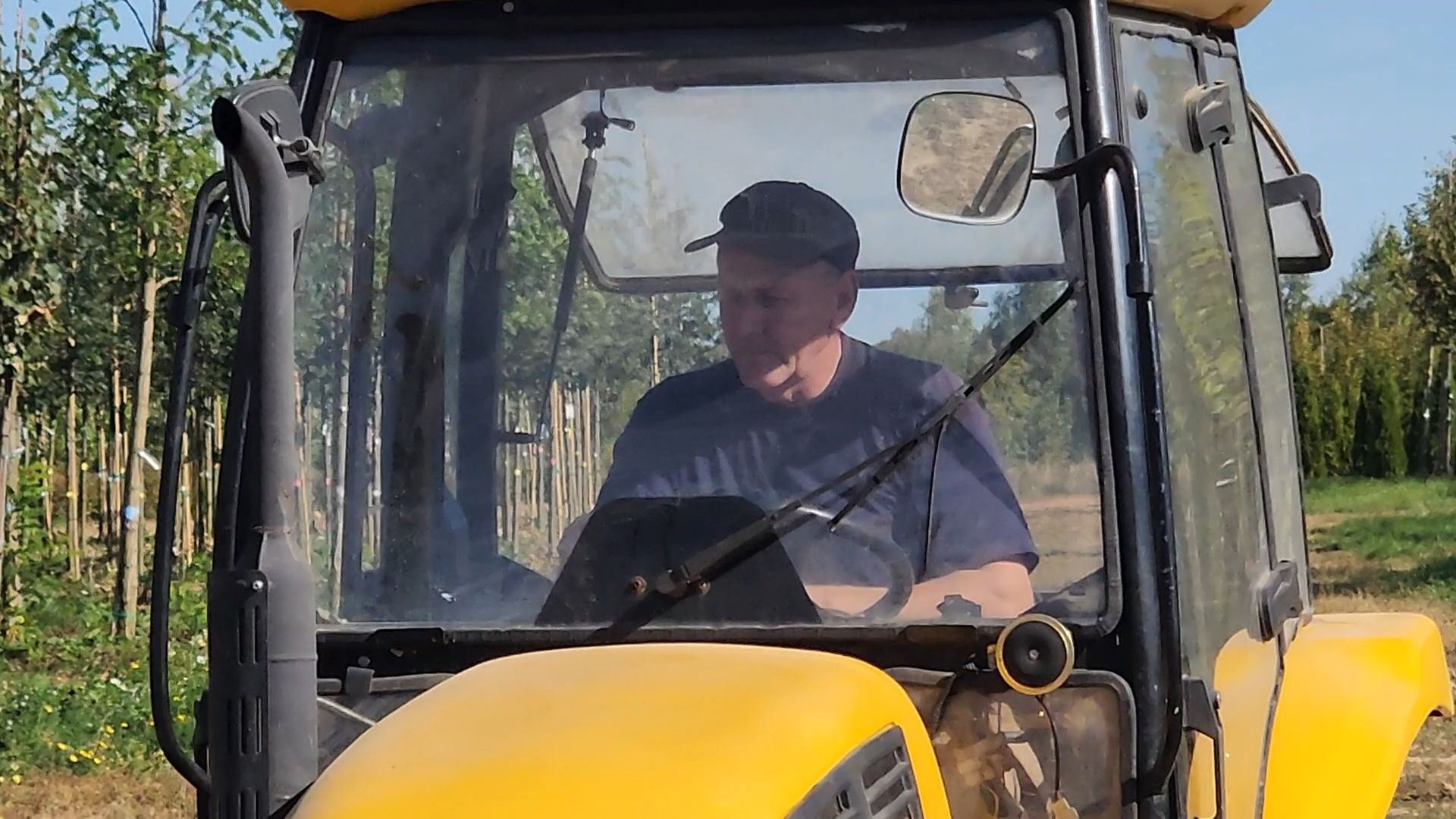 Бронницы, питомник растений, Сады Бэллы, Осенние работы в питомнике,