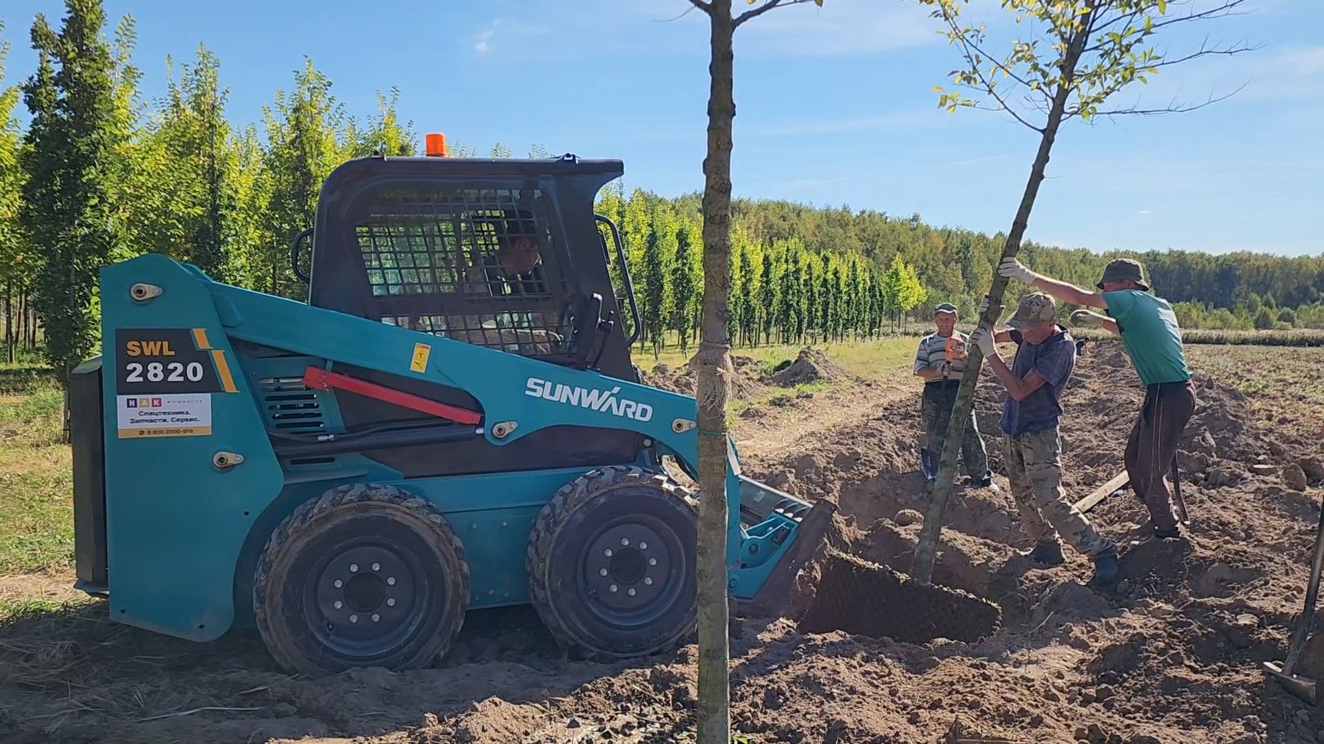 Бронницы, питомник растений, Сады Бэллы, Осенние работы в питомнике,