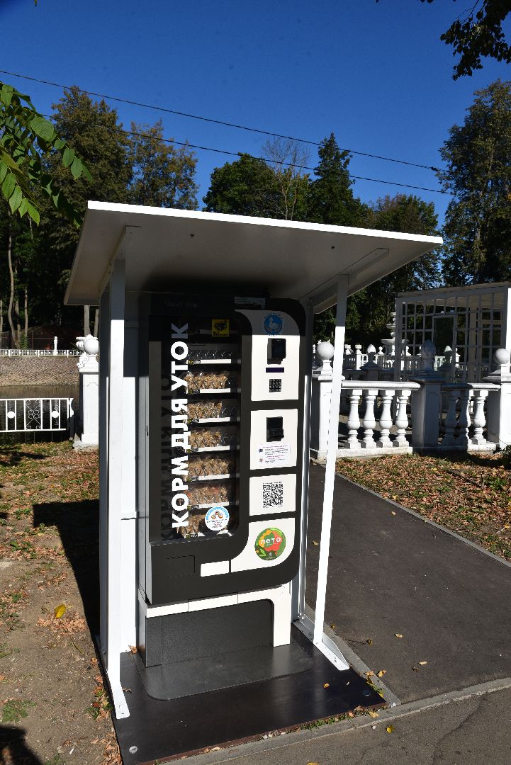 лотошино, лотошинский парк, утка, парки подмосковье,