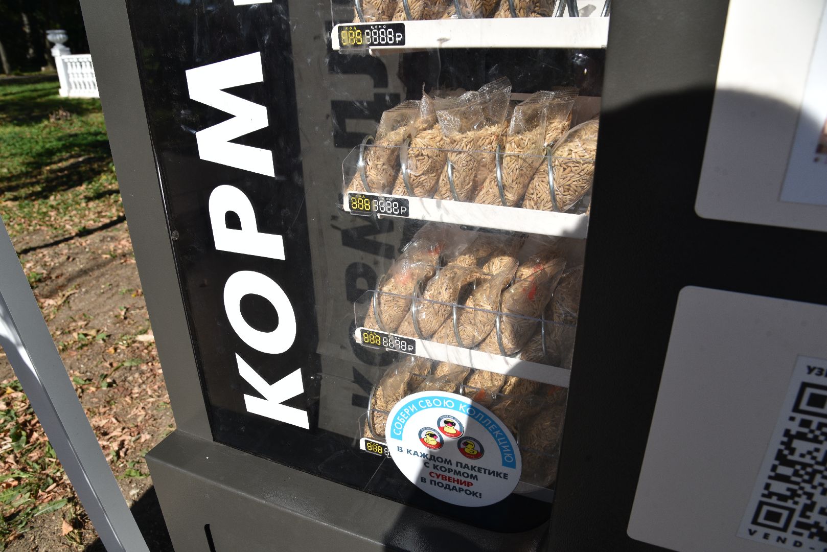 лотошино, лотошинский парк, утка, парки подмосковье,