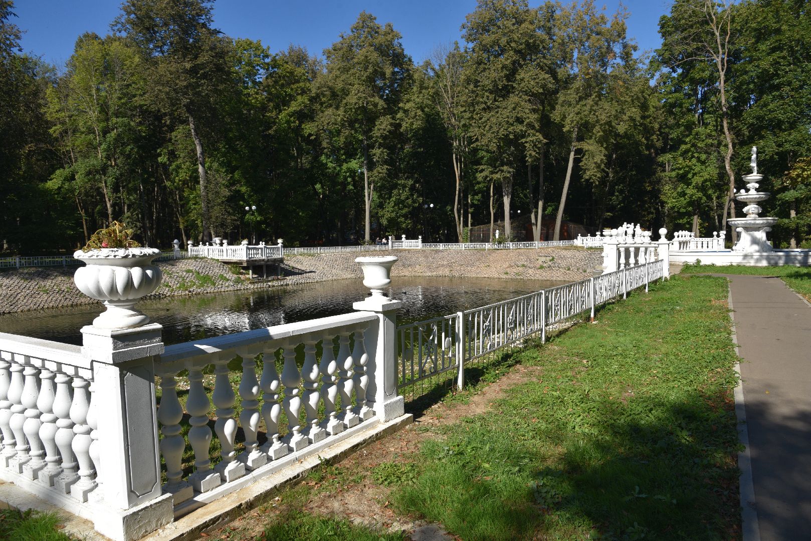 лотошино, лотошинский парк, утка, парки подмосковье,