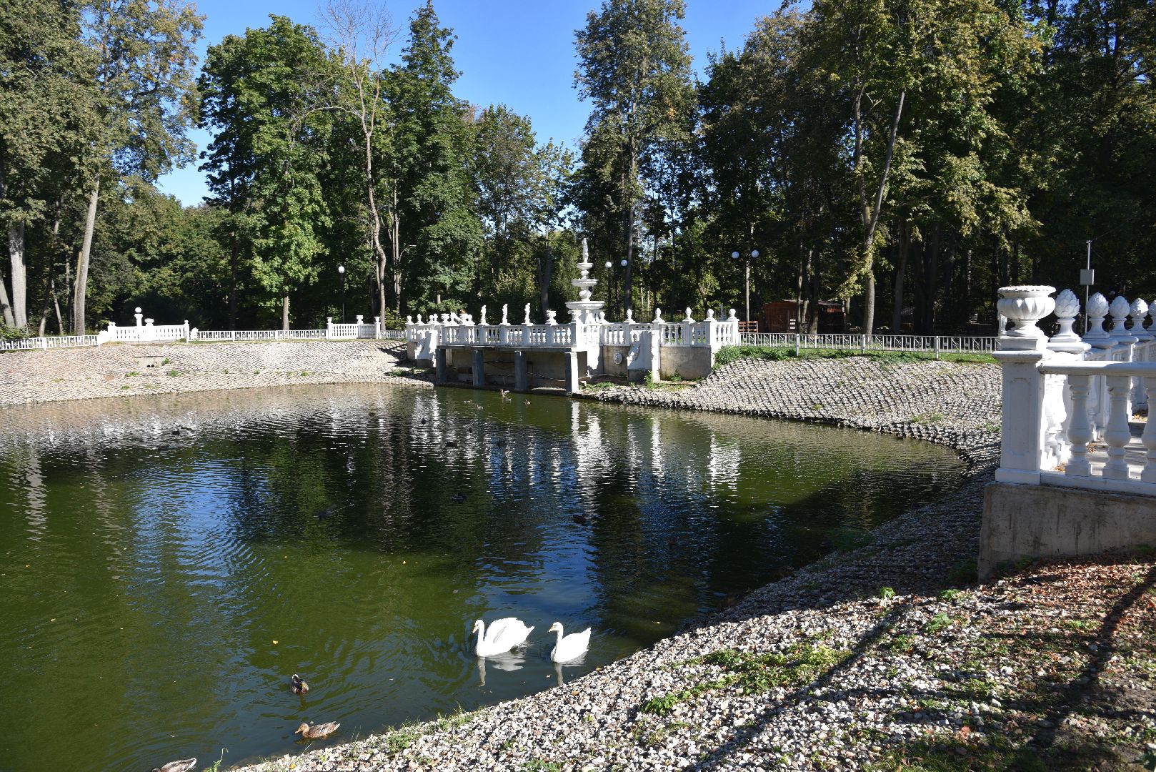 лотошино, лотошинский парк, утка, парки подмосковье,