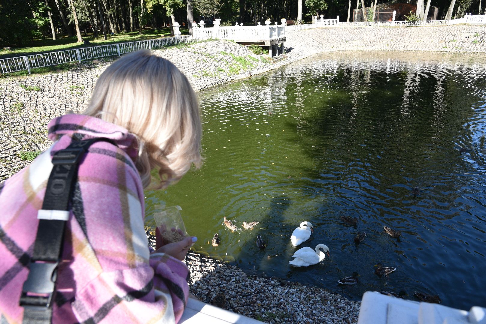 лотошино, лотошинский парк, утка, парки подмосковье,