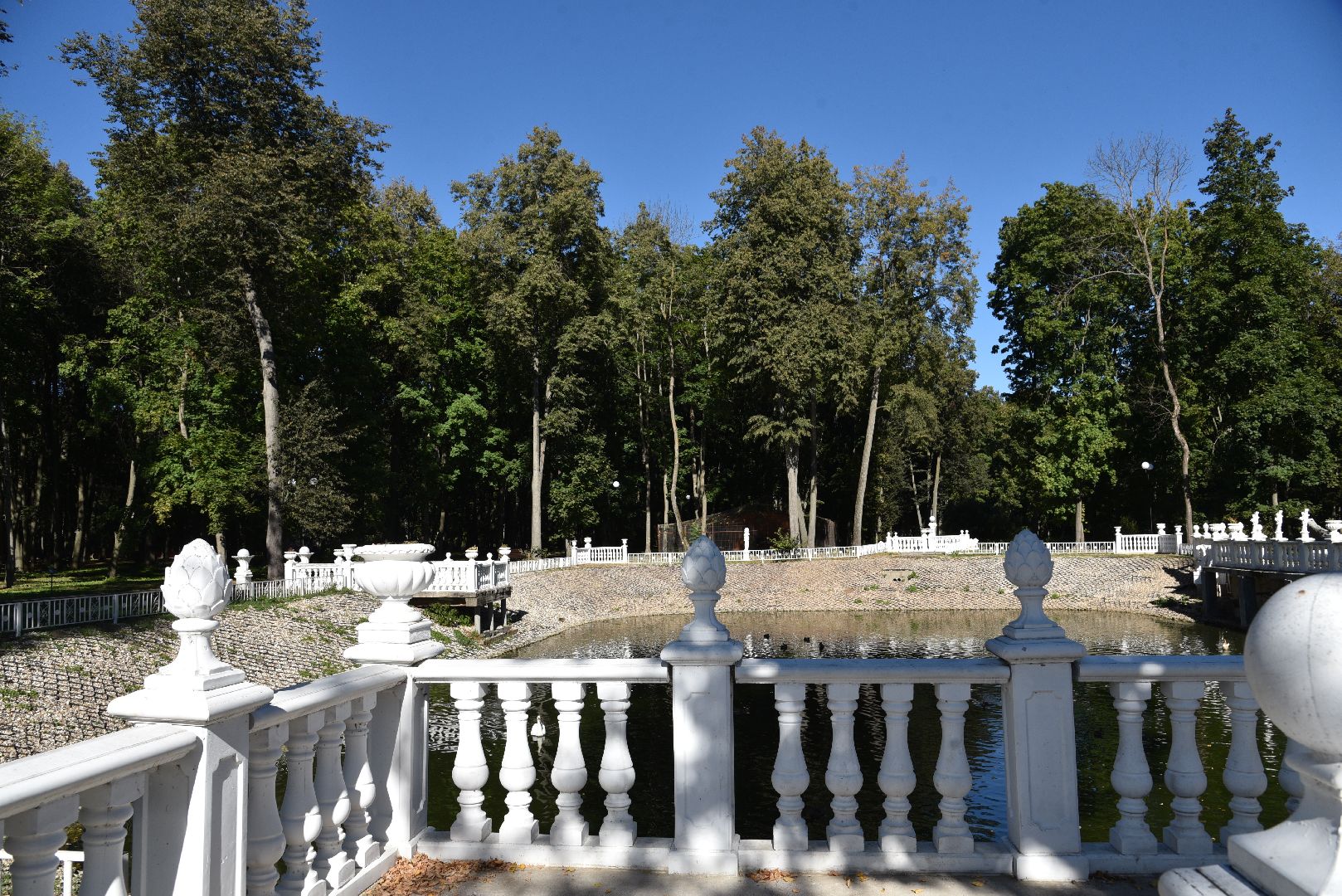 лотошино, лотошинский парк, утка, парки подмосковье,