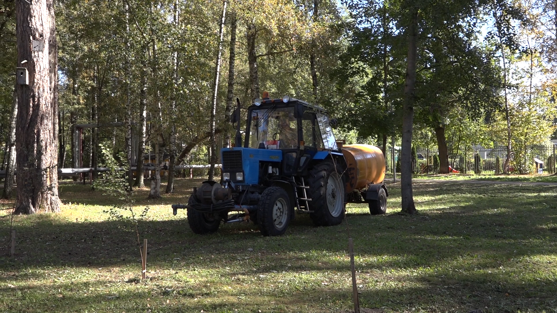 акция посадка деревьев, озеленение Власихи, День в лесу сохраним лес вместе, посади свое дерево, березовая роща Власиха,