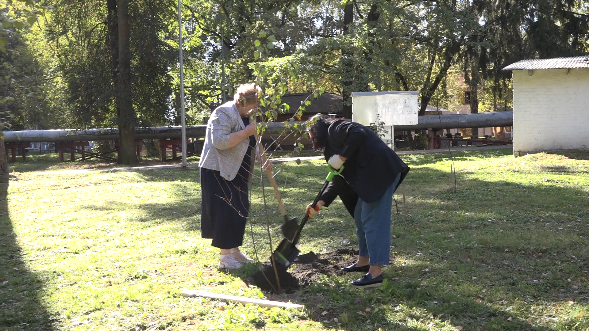 акция посадка деревьев, озеленение Власихи, День в лесу сохраним лес вместе, посади свое дерево, березовая роща Власиха,