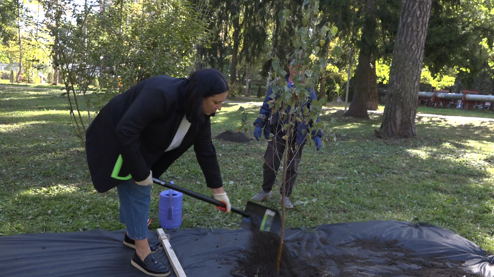 акция посадка деревьев, озеленение Власихи, День в лесу сохраним лес вместе, посади свое дерево, березовая роща Власиха,