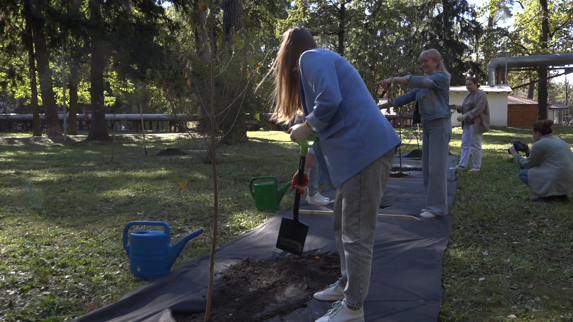 акция посадка деревьев, озеленение Власихи, День в лесу сохраним лес вместе, посади свое дерево, березовая роща Власиха,