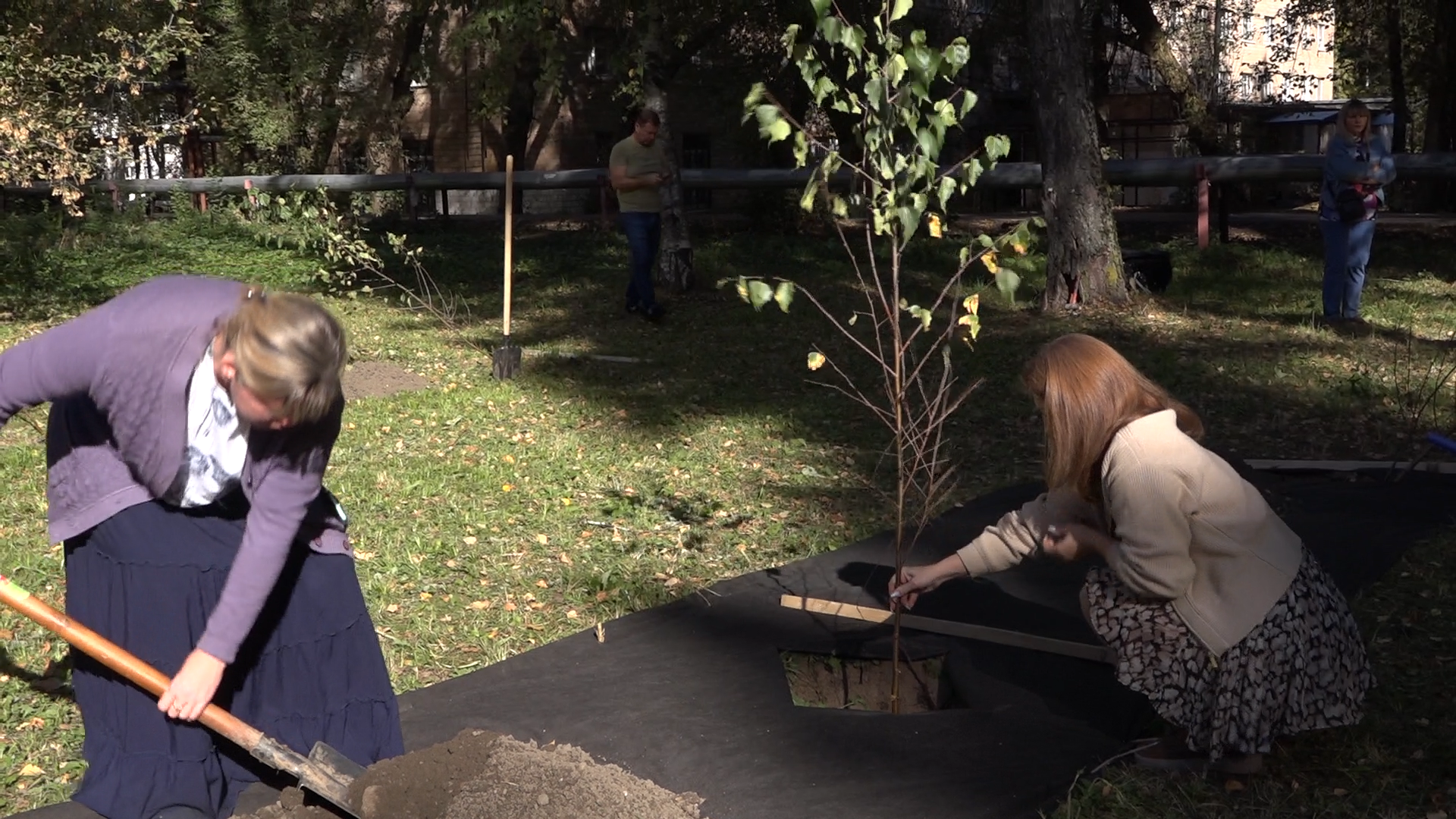 акция посадка деревьев, озеленение Власихи, День в лесу сохраним лес вместе, посади свое дерево, березовая роща Власиха,