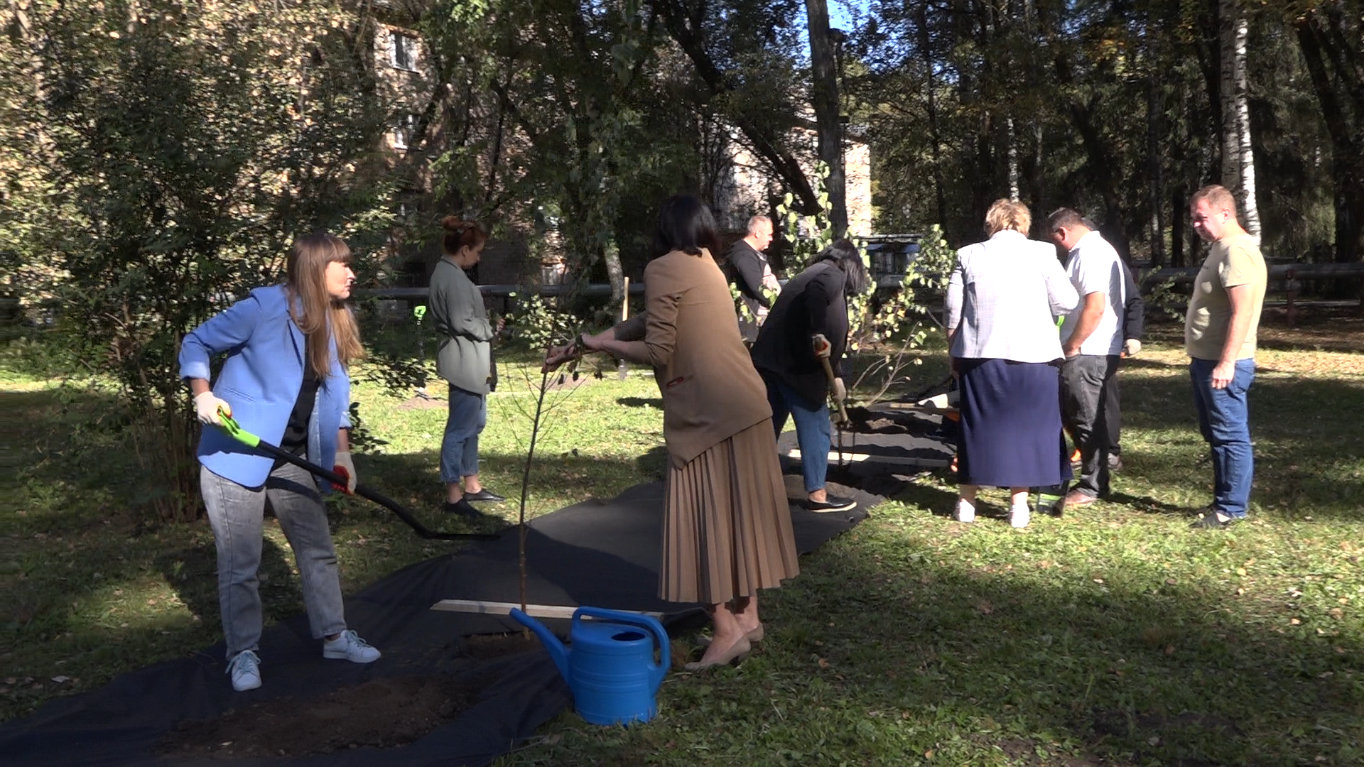 акция посадка деревьев, озеленение Власихи, День в лесу сохраним лес вместе, посади свое дерево, березовая роща Власиха,
