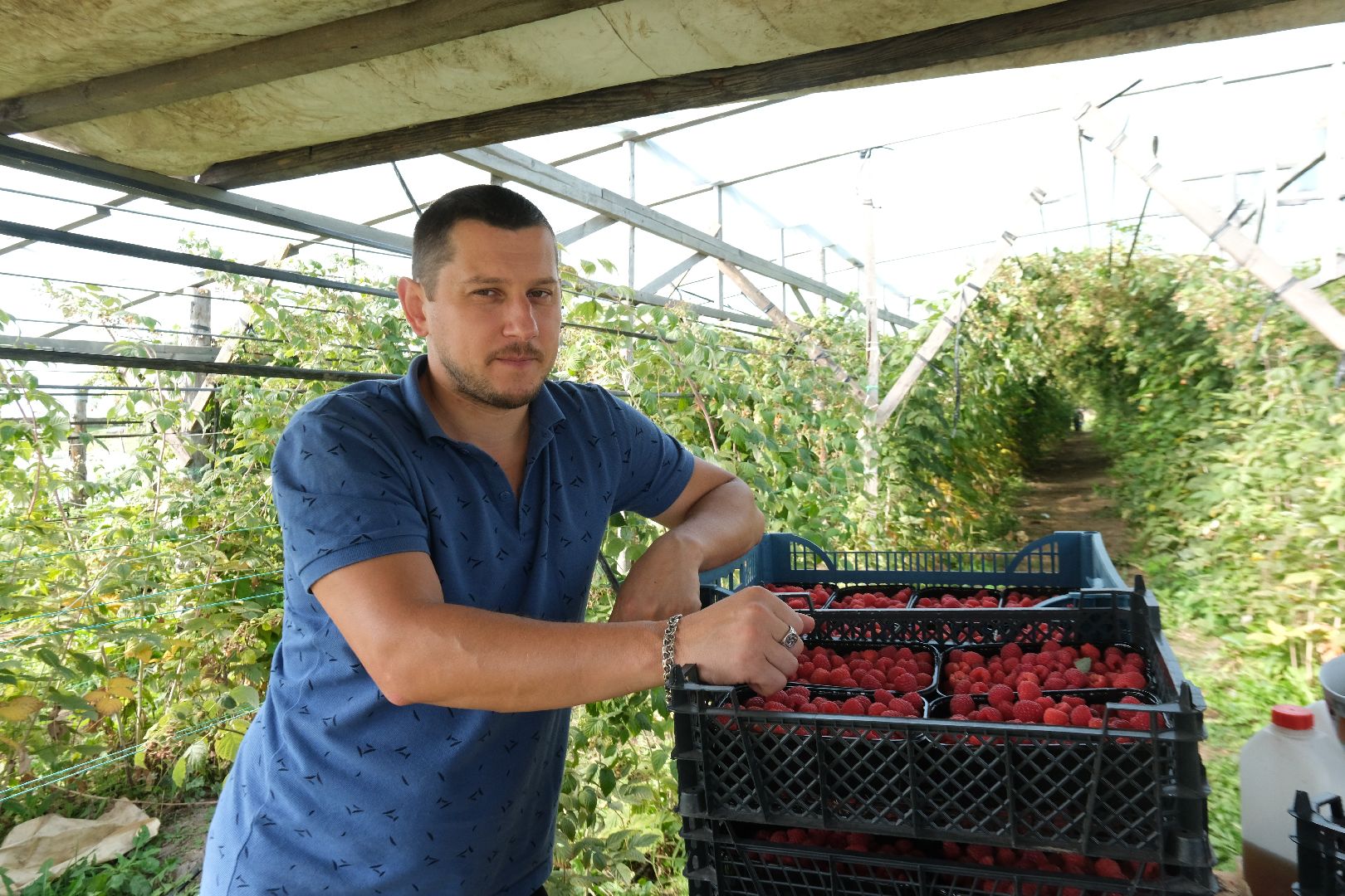 пущино, сельское хозяйство, малина, серпухов,