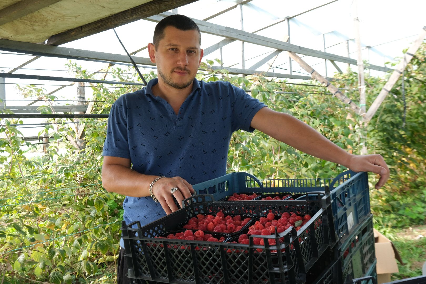 пущино, сельское хозяйство, малина, серпухов,