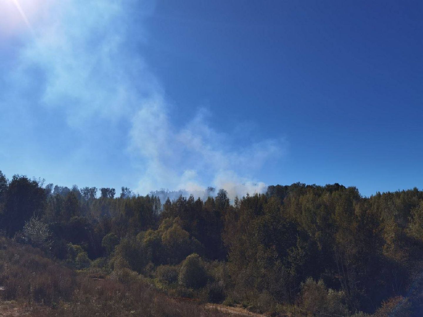 Пожар, Сергиев Посад, ЧП,