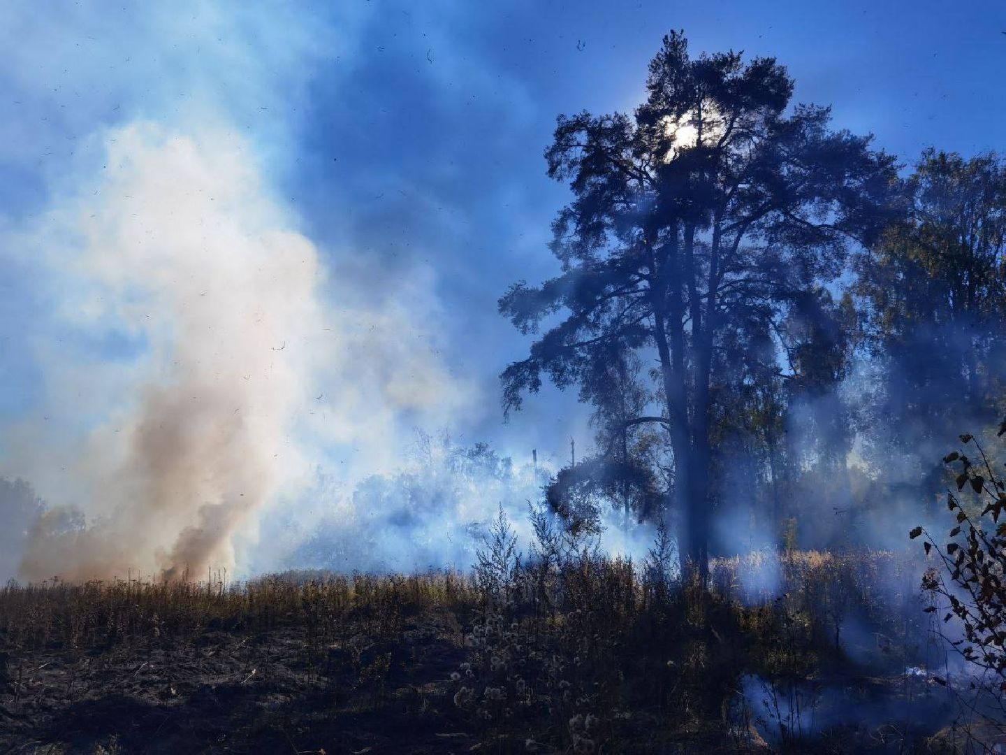 Пожар, Сергиев Посад, ЧП,