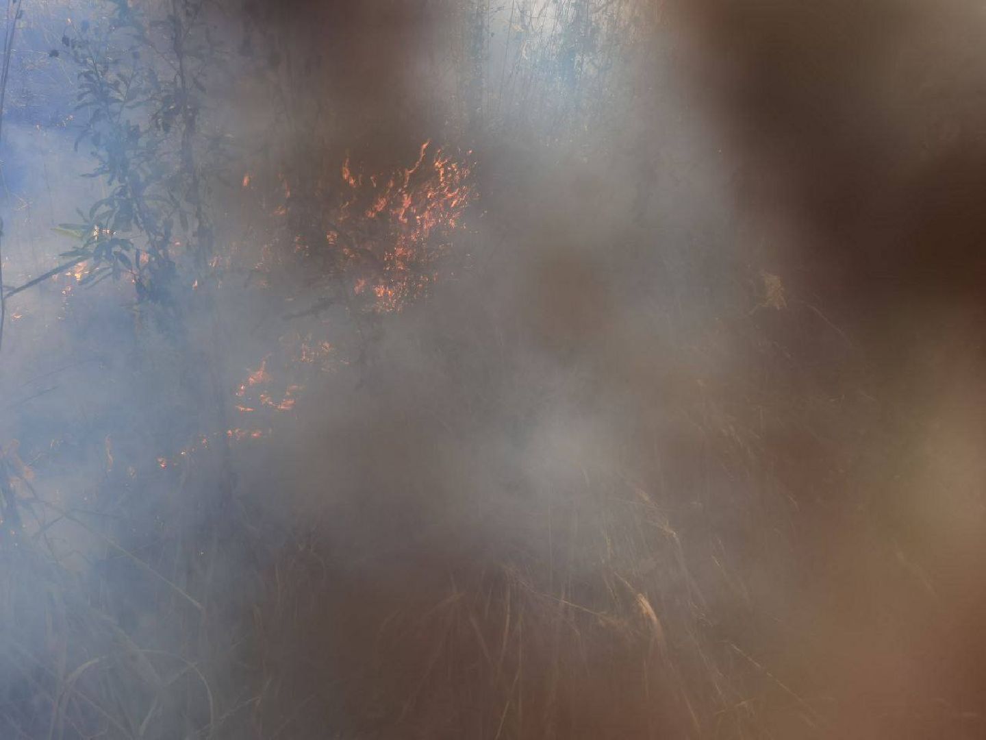 Пожар, Сергиев Посад, ЧП,