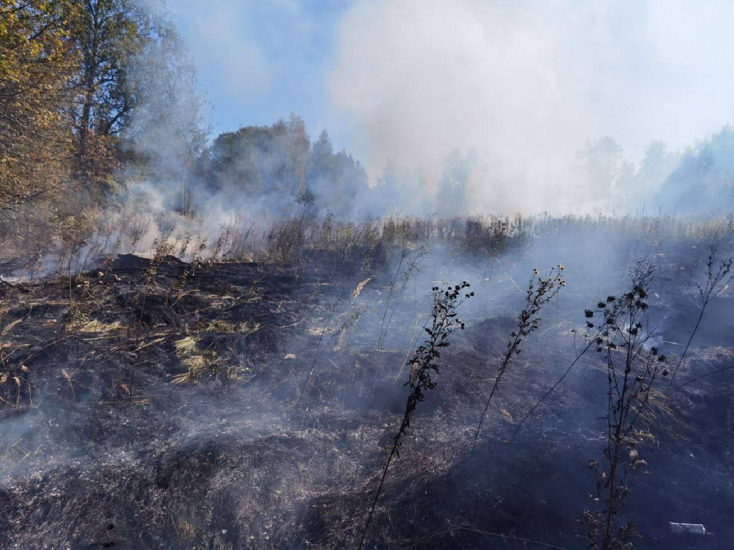 Пожар, Сергиев Посад, ЧП,
