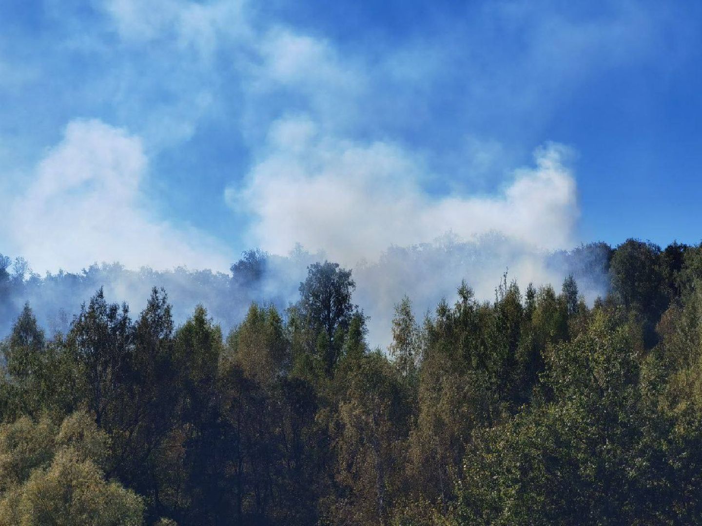 Пожар, Сергиев Посад, ЧП,
