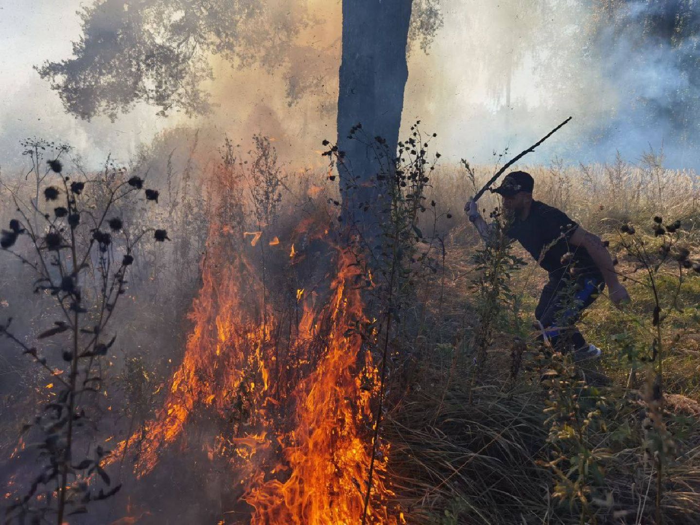 Пожар, Сергиев Посад, ЧП,