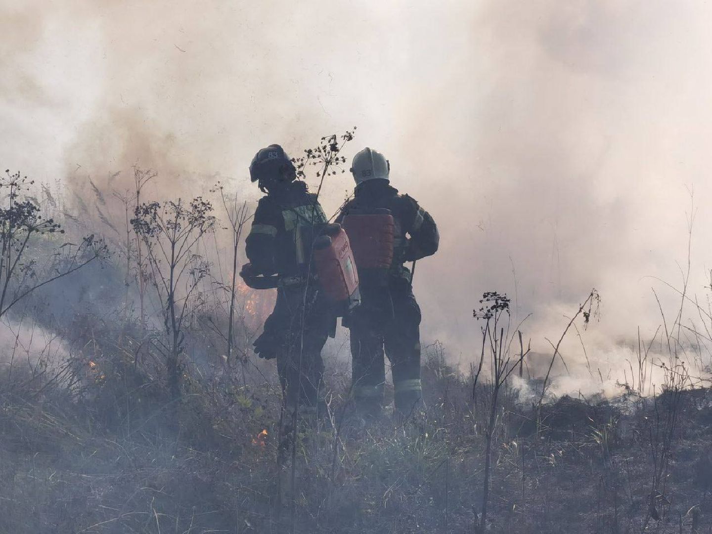 Пожар, Сергиев Посад, ЧП,