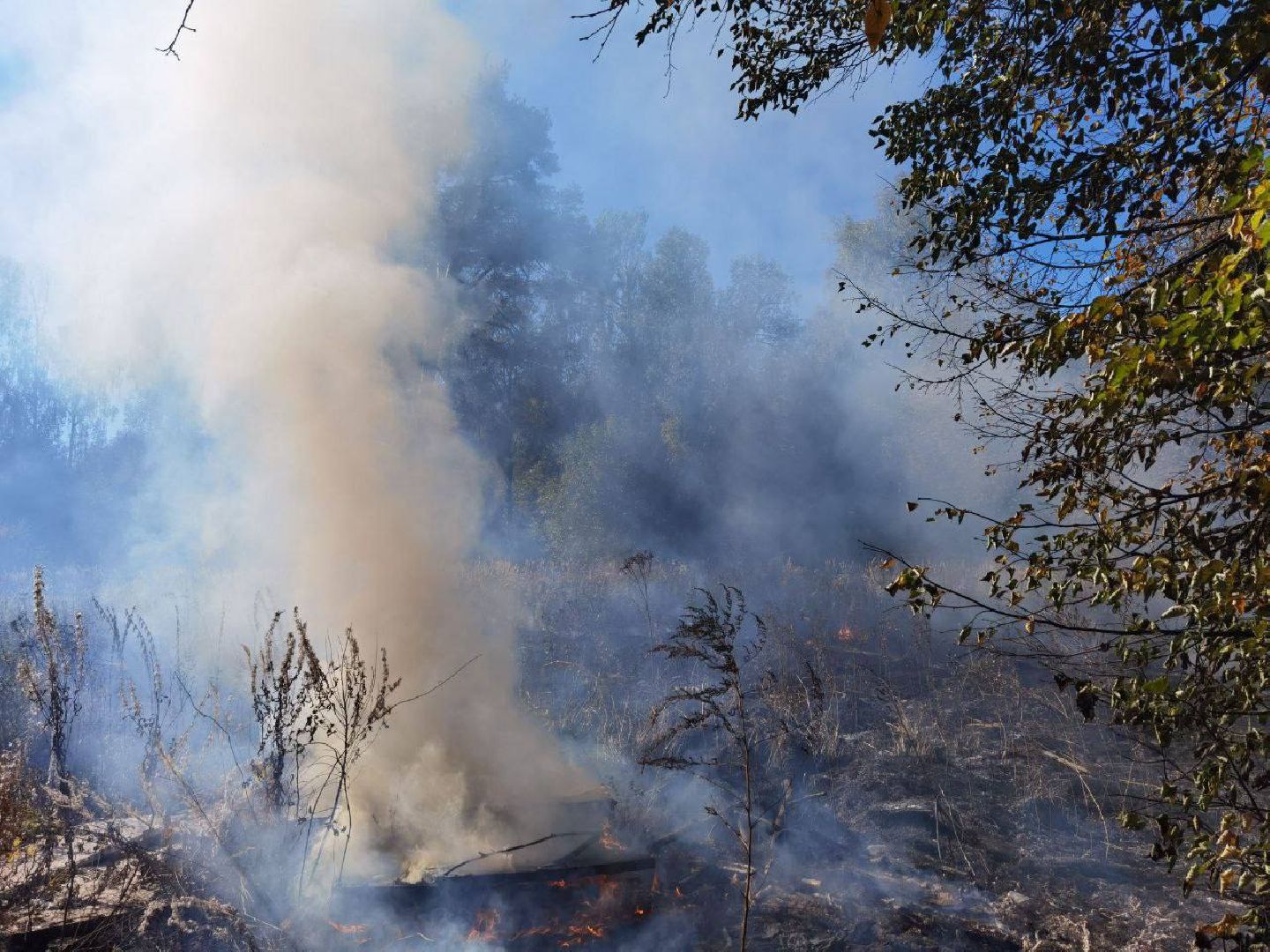 Пожар, Сергиев Посад, ЧП,