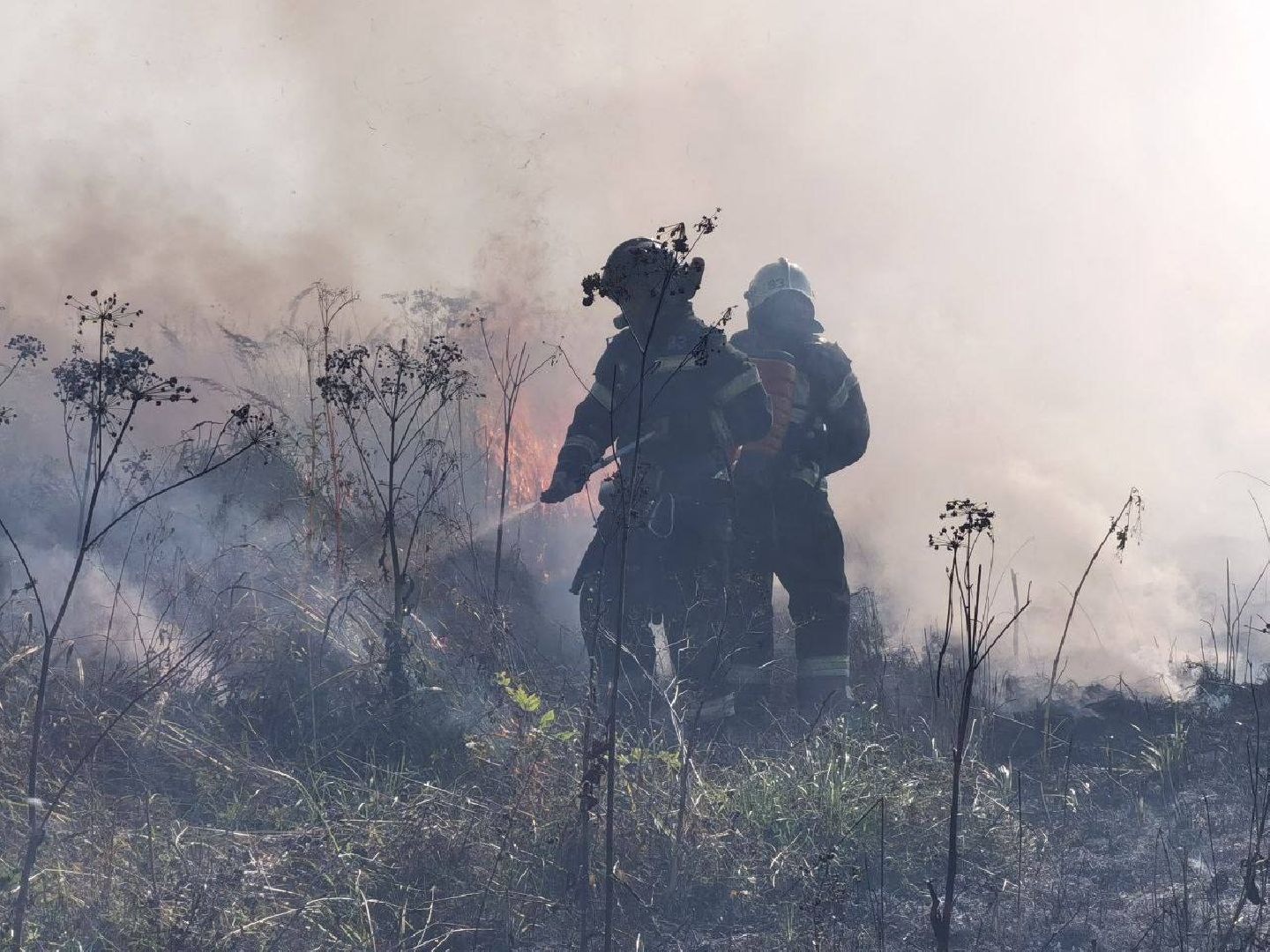 Пожар, Сергиев Посад, ЧП,
