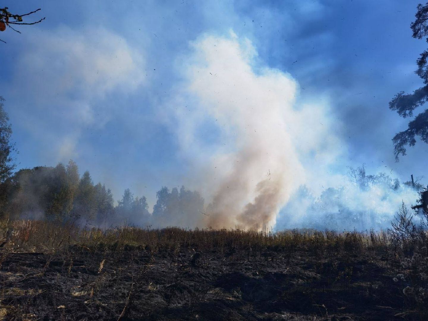 Пожар, Сергиев Посад, ЧП,