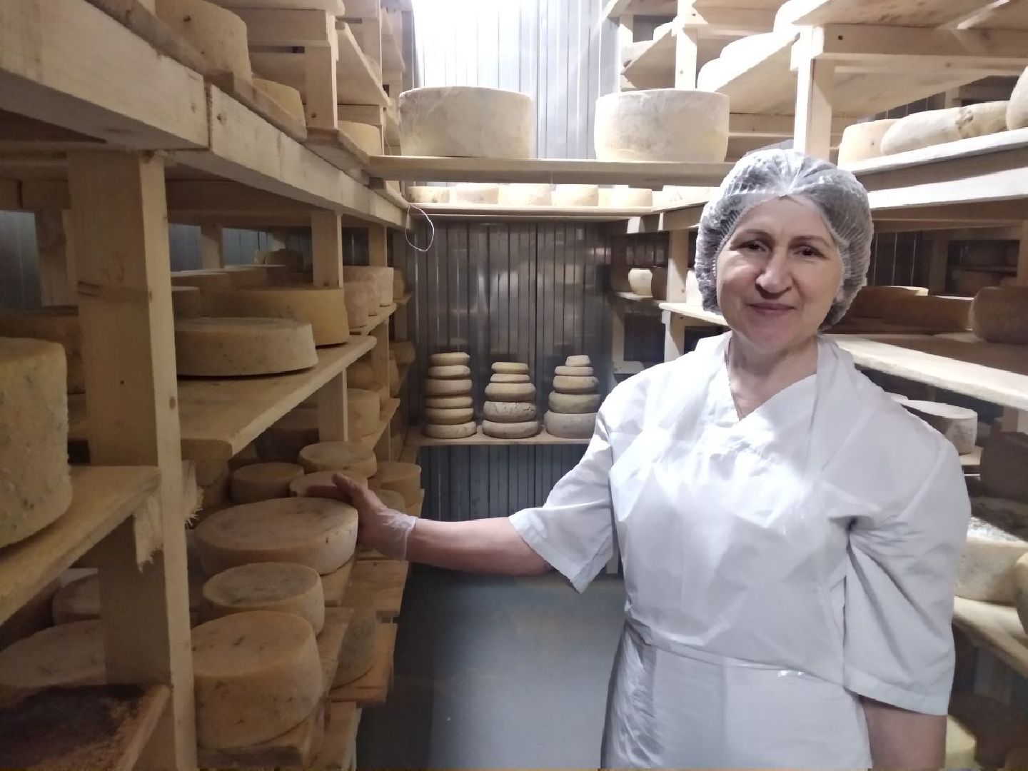 Дмитров, КФХ Свободный труд, Сыроварня, Минсельхоз МО