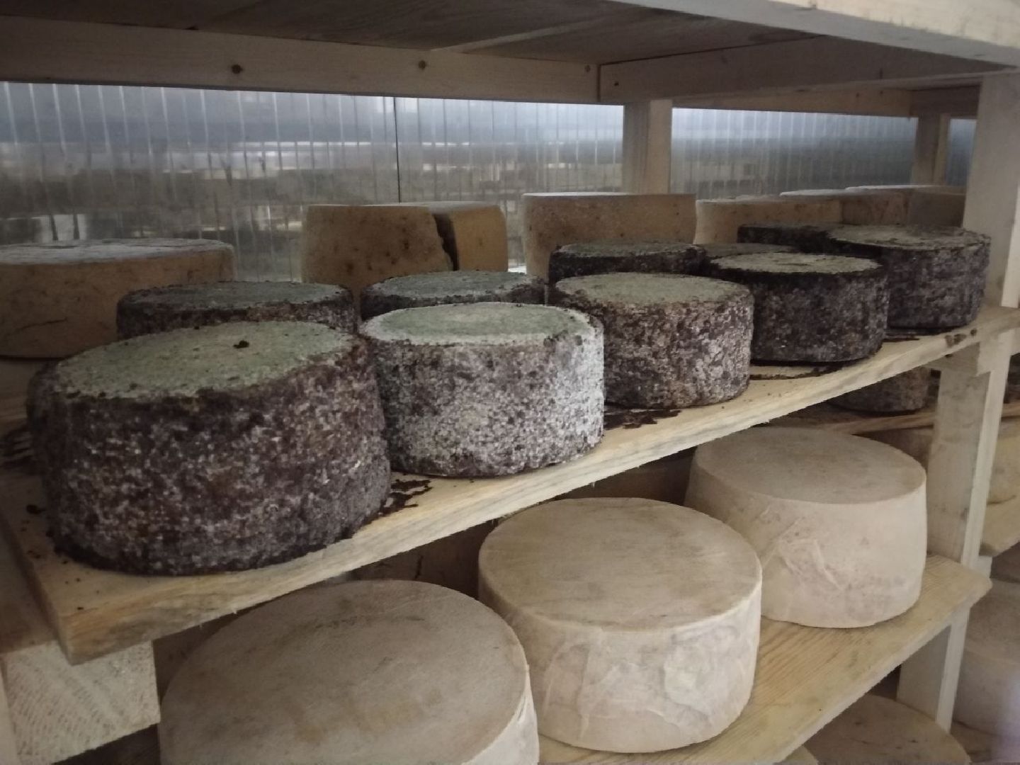 Дмитров, КФХ Свободный труд, Сыроварня, Минсельхоз МО