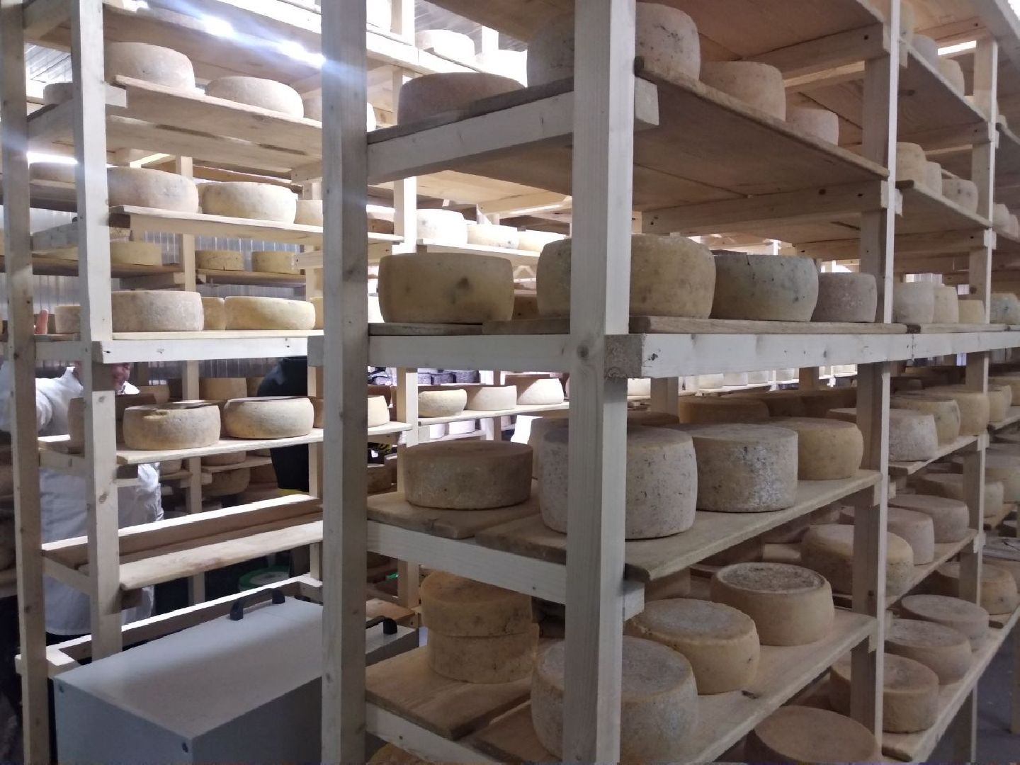 Дмитров, КФХ Свободный труд, Сыроварня, Минсельхоз МО