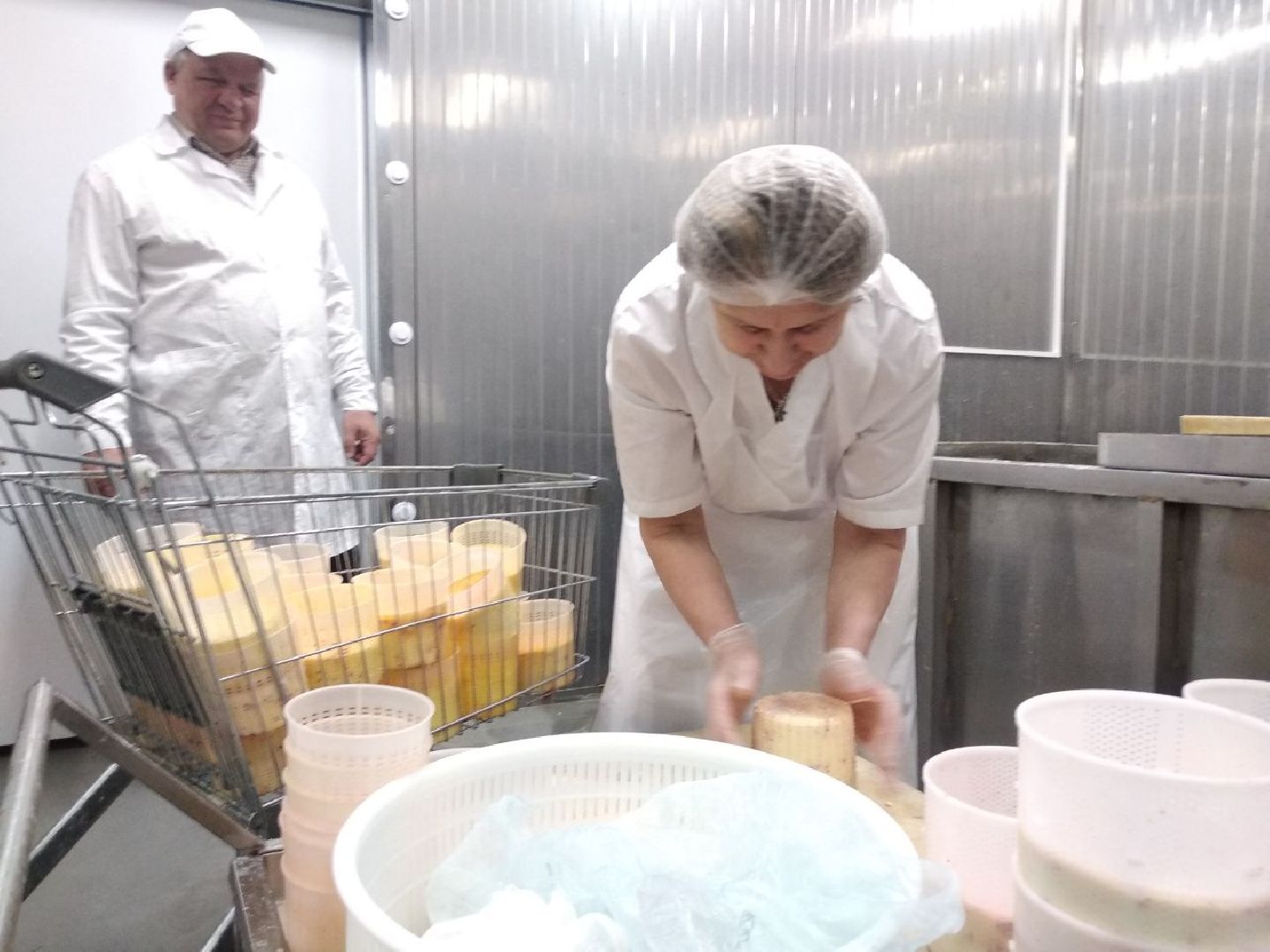 Дмитров, КФХ Свободный труд, Сыроварня, Минсельхоз МО