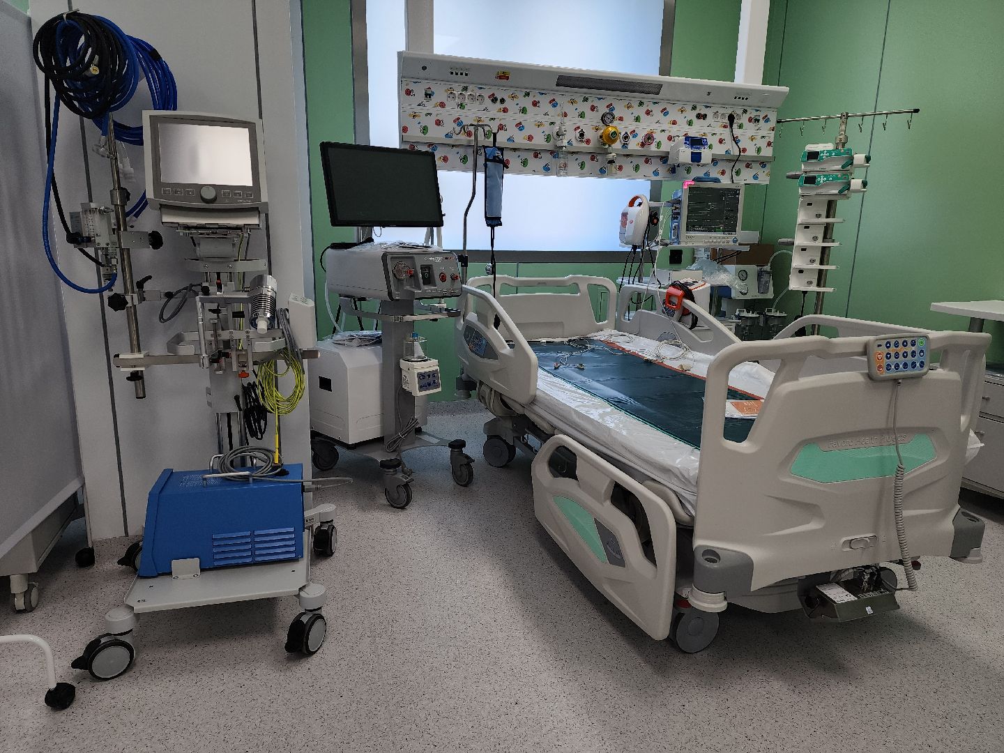 красногорск, детский клинический центр им рошаля, многодетные семьи,