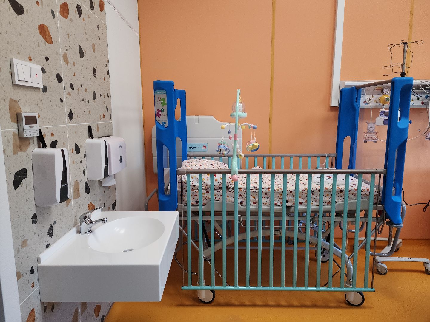 красногорск, детский клинический центр им рошаля, многодетные семьи,