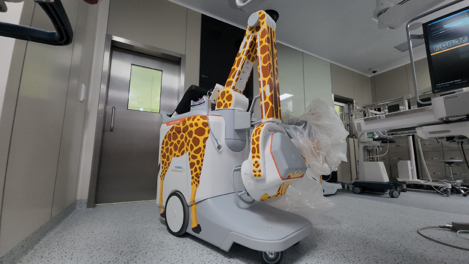 красногорск, детский клинический центр им рошаля, многодетные семьи,