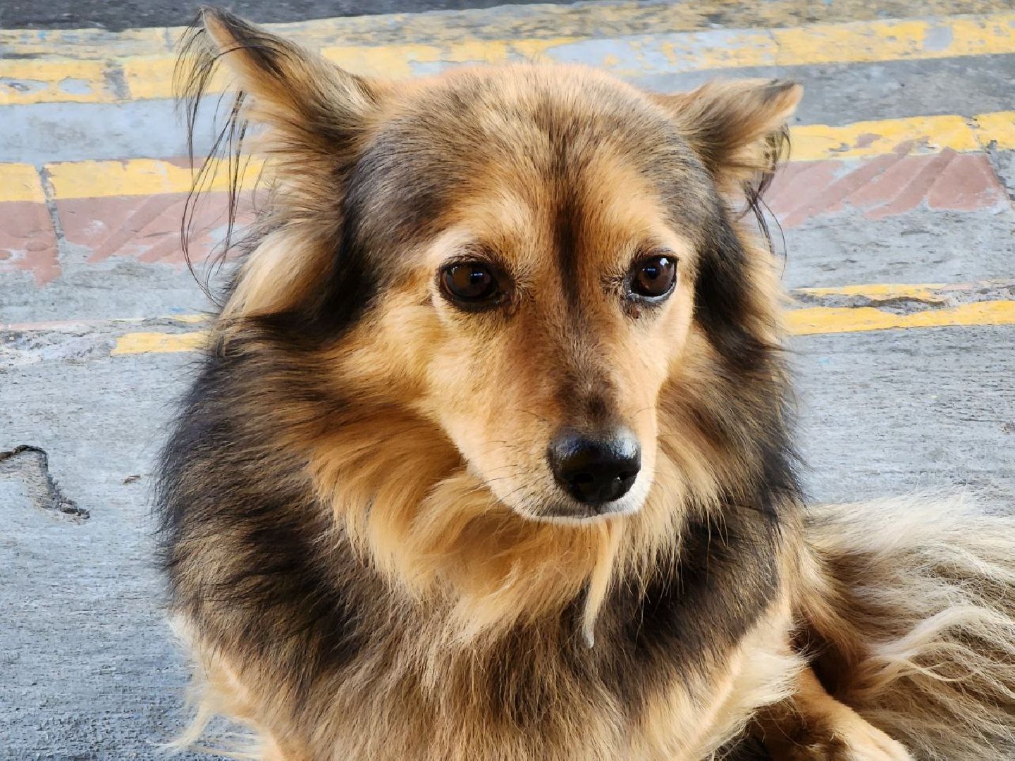 можайск, можайский городской округ, подмосковье, выездная администрация, власть, встреча с жителями, жалобы жителей, обращения граждан,