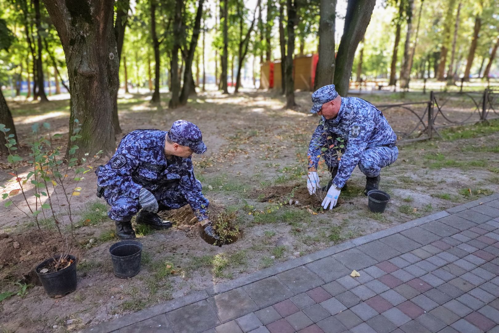 Клин, общество, парки, Подмосковье, экология, благоустройство,