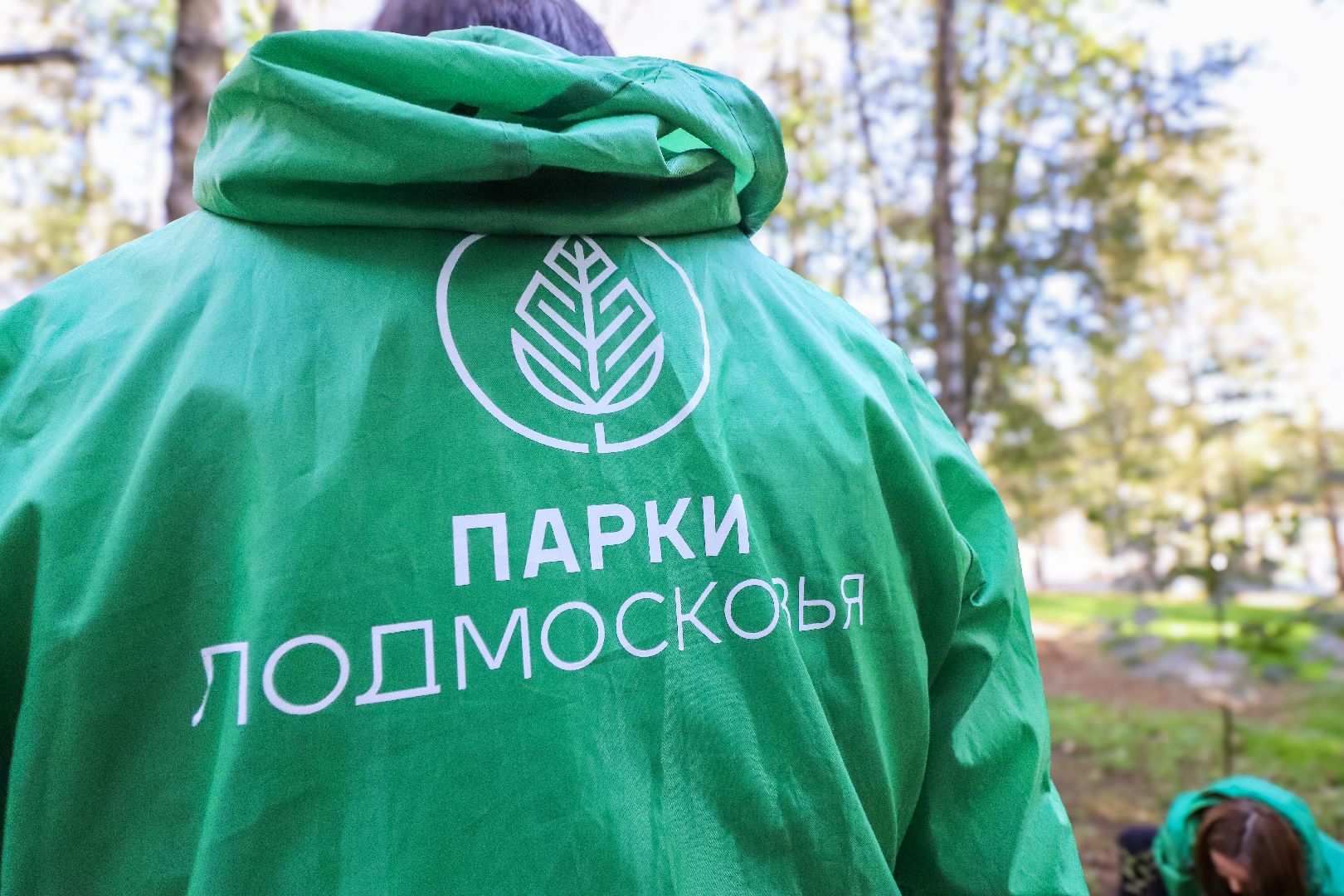 Клин, общество, парки, Подмосковье, экология, благоустройство,