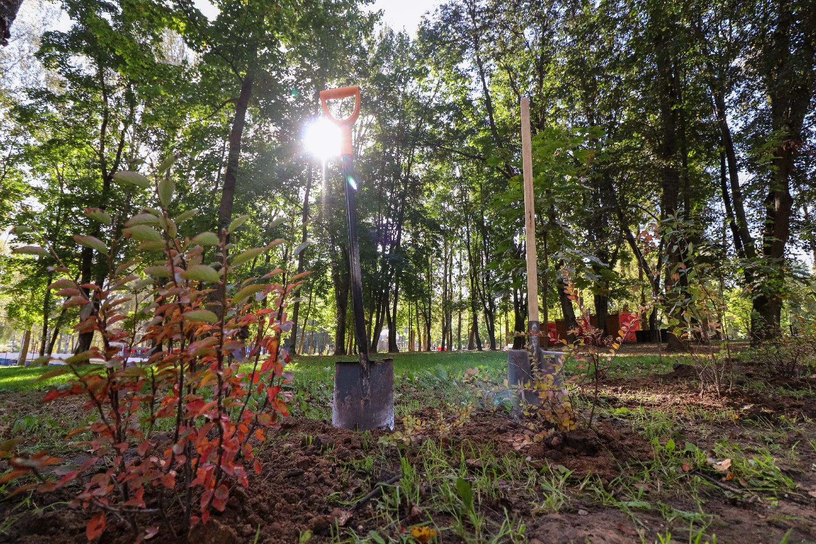 Клин, общество, парки, Подмосковье, экология, благоустройство,