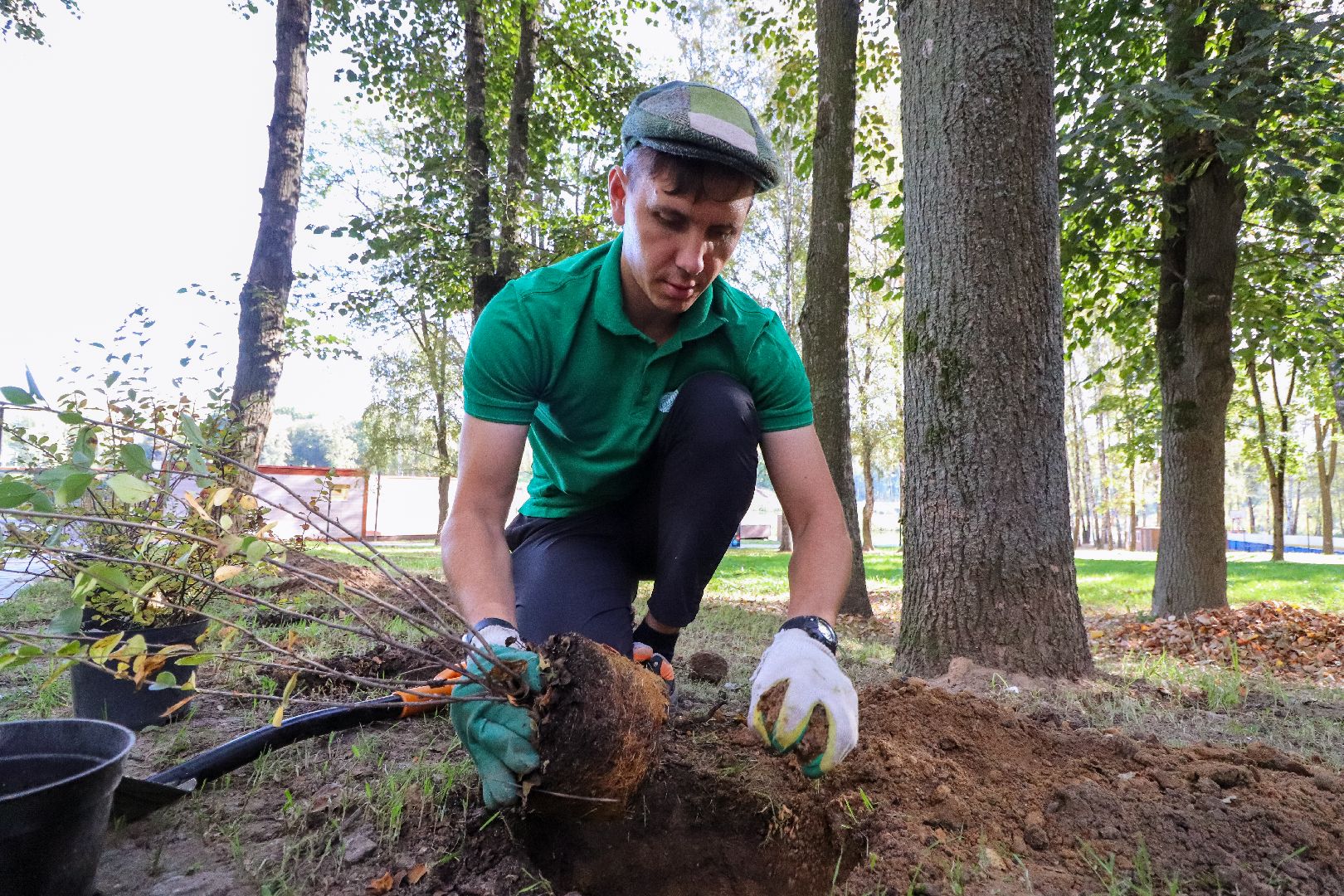 Клин, общество, парки, Подмосковье, экология, благоустройство,