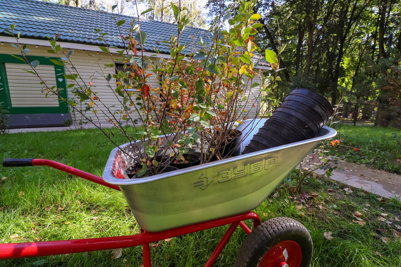 Клин, общество, парки, Подмосковье, экология, благоустройство,