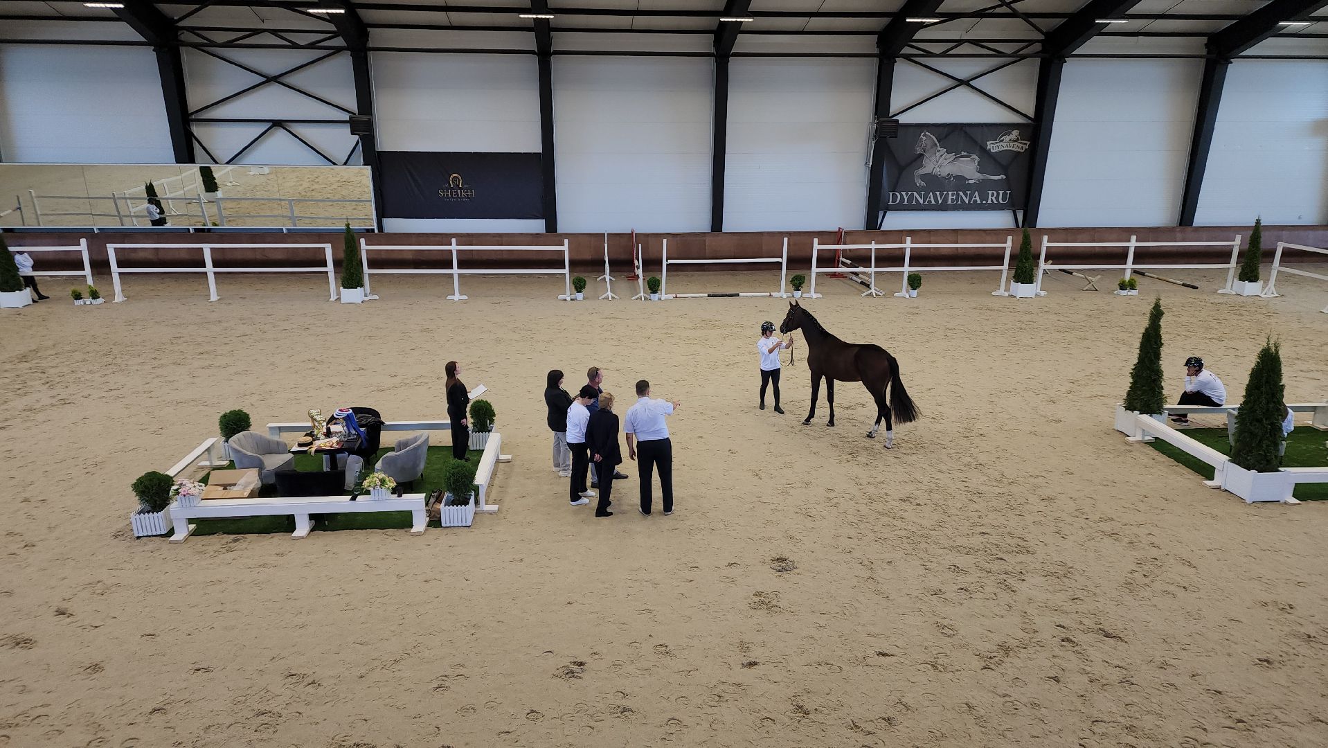 ступино, конный спорт подмосковья, спорт в подмосковье,