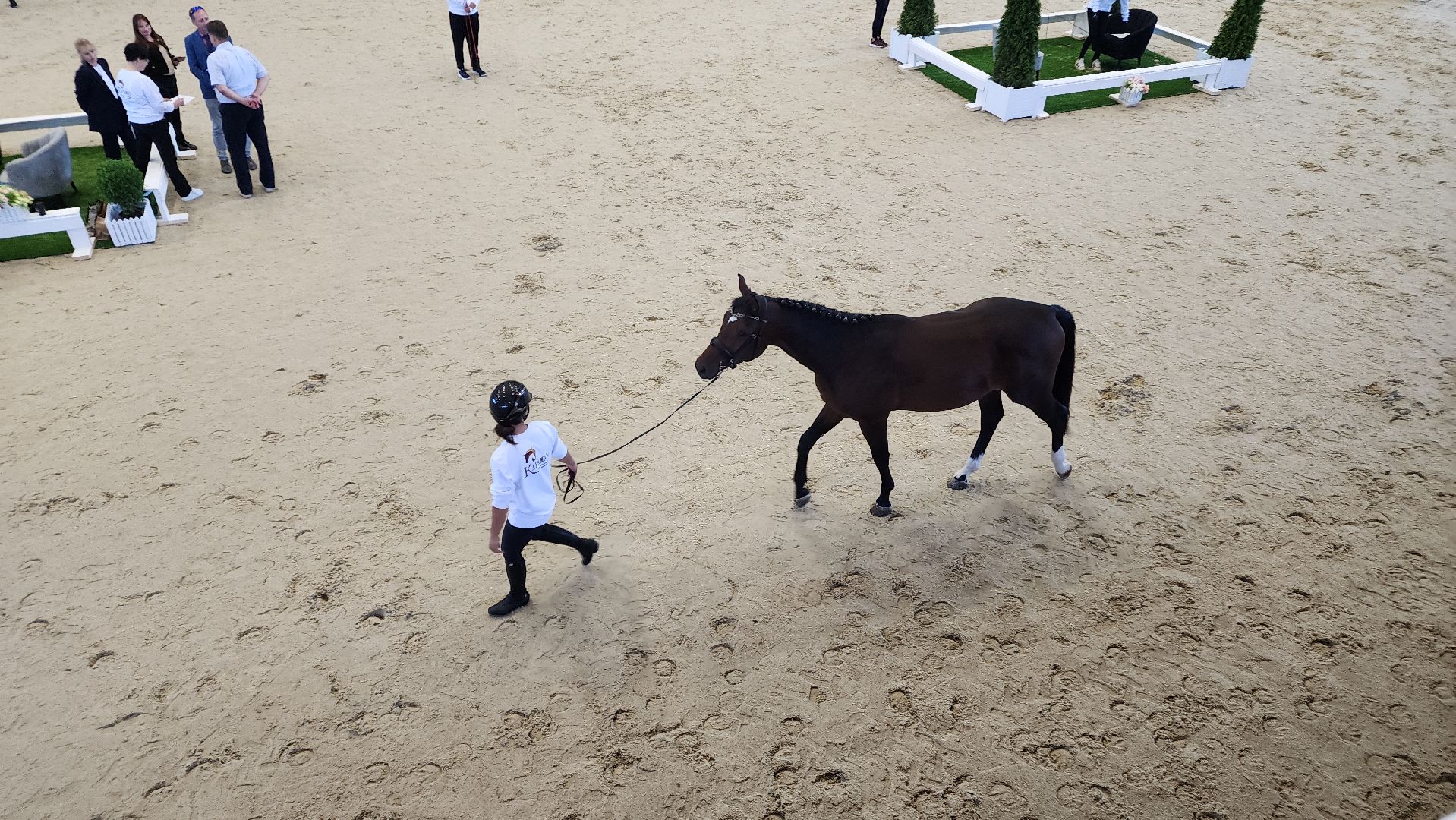 ступино, конный спорт подмосковья, спорт в подмосковье,