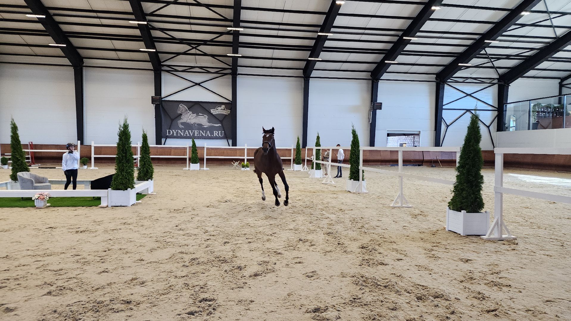 ступино, конный спорт подмосковья, спорт в подмосковье,