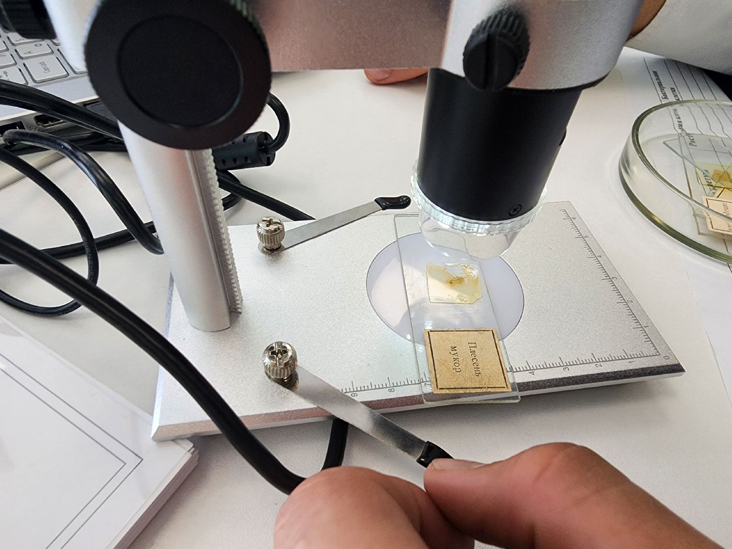 Подольск, Школа, Профильный класс, Аграрии, Образование,