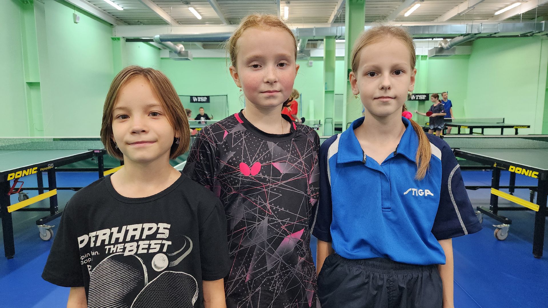 спортивная школа олимпийского резерва,настольный теннис, ФОК Акрихин, Старая Купавна, Богородский городской округ,