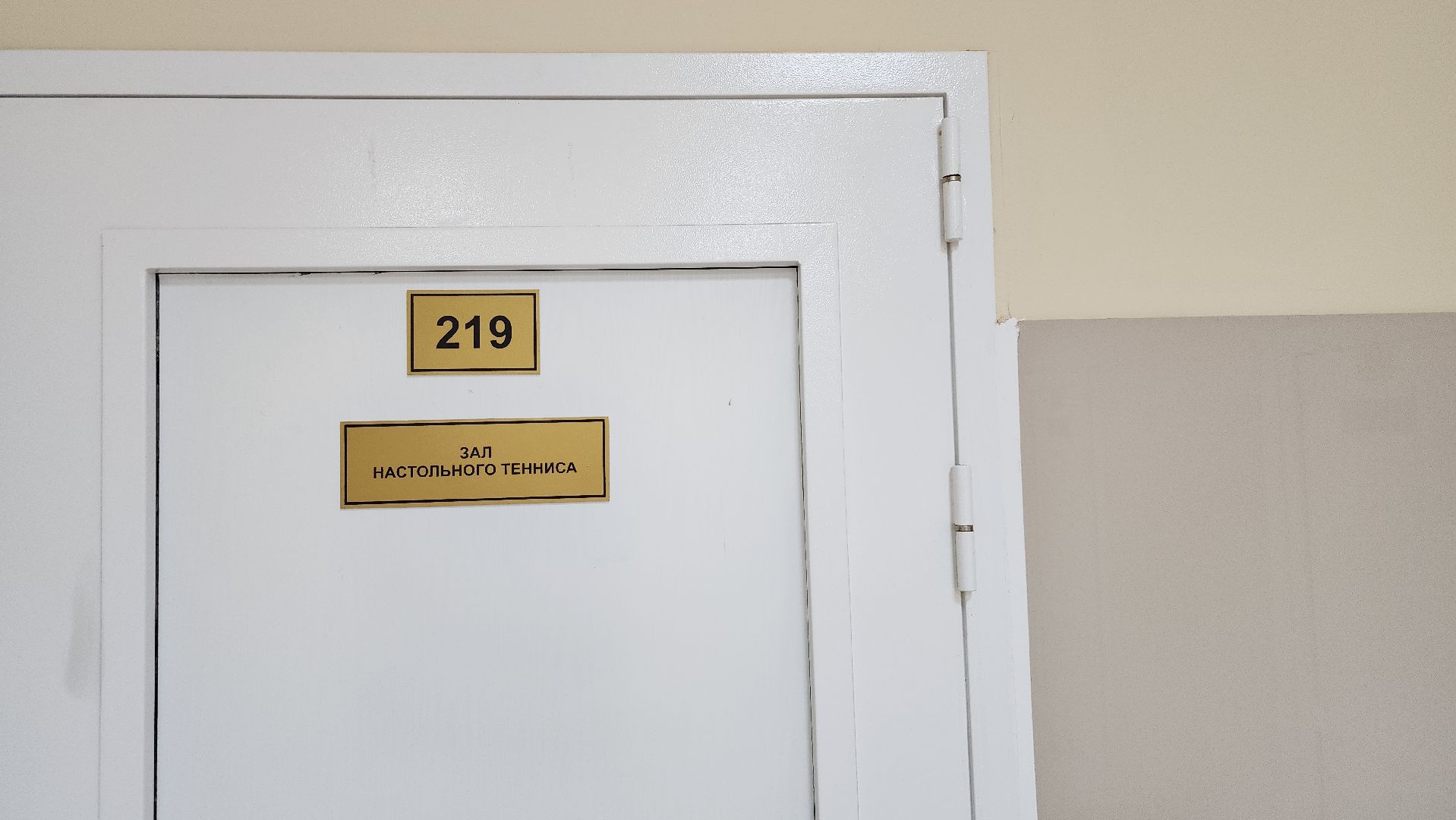 спортивная школа олимпийского резерва,настольный теннис, ФОК Акрихин, Старая Купавна, Богородский городской округ,