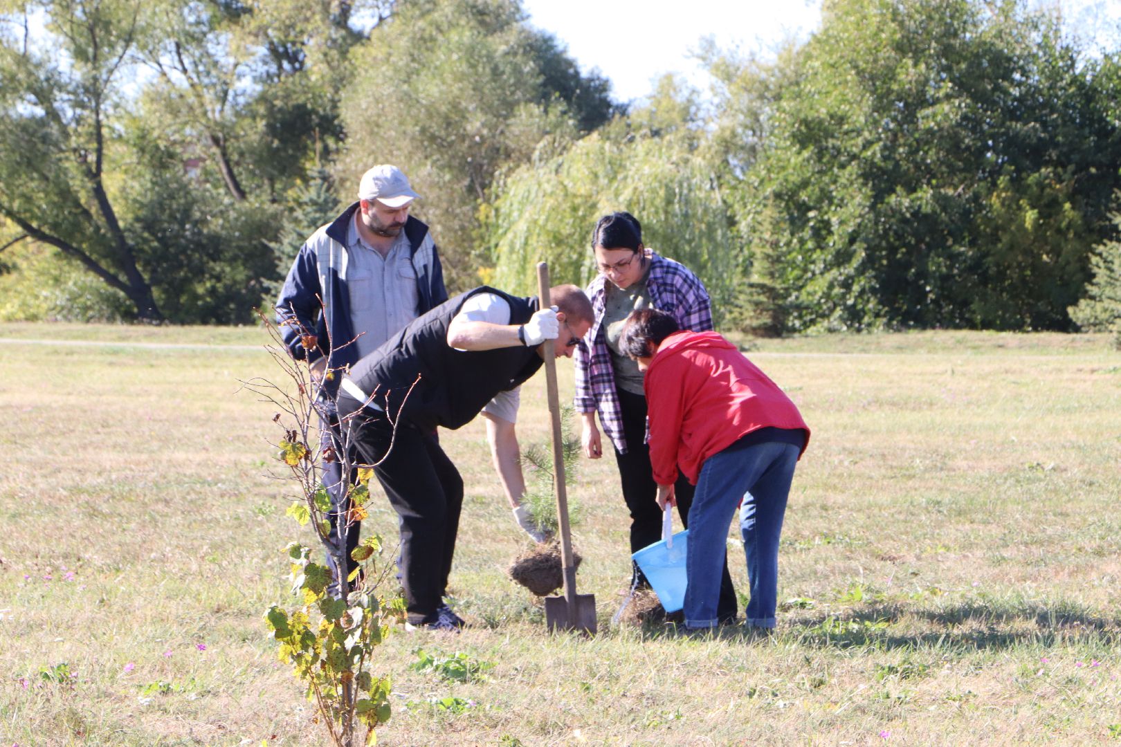 Парк Серебряный, Серебряные Пруды, День в лесу, Сохраним лес вместе,