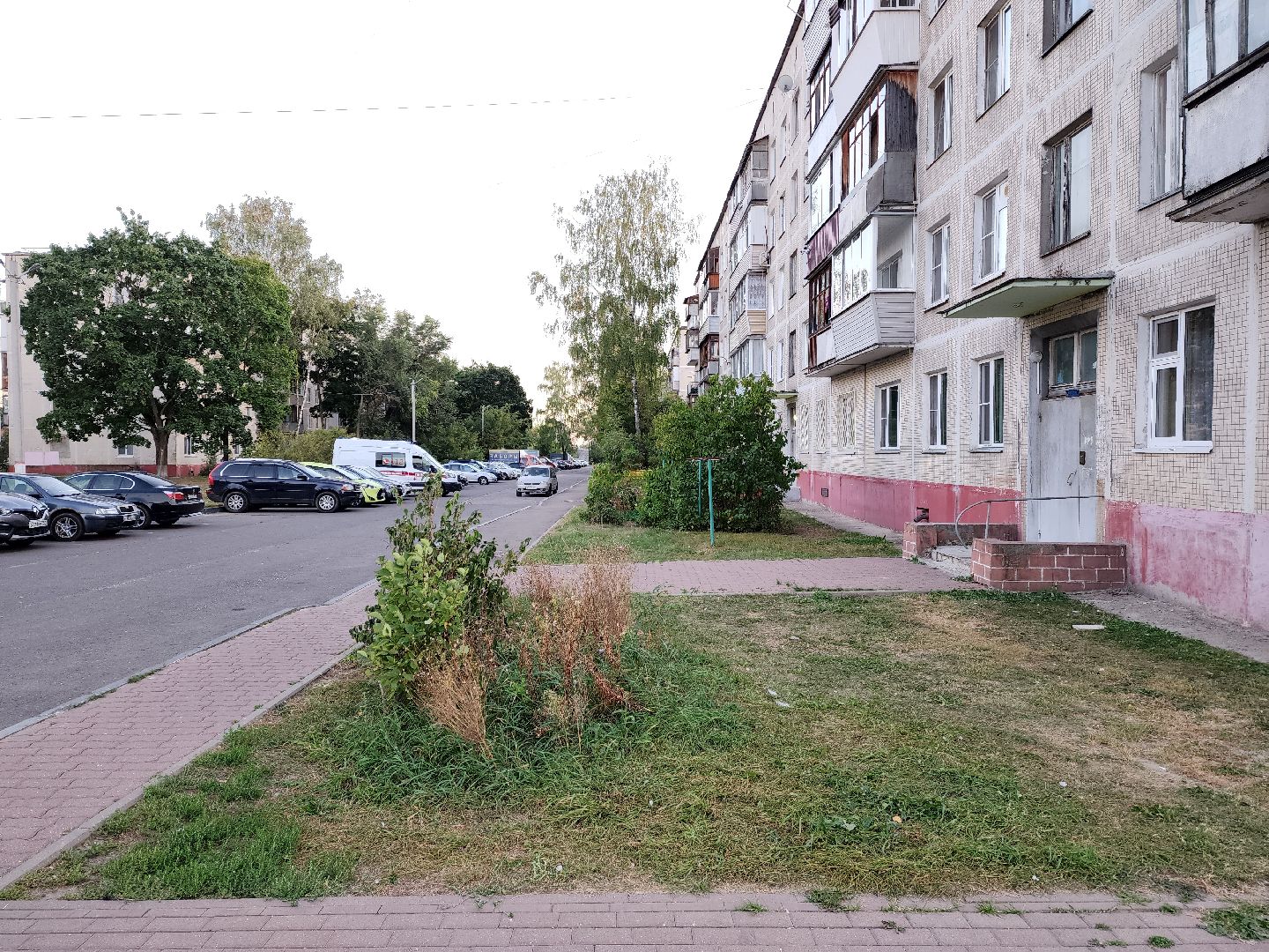 раменское, общество, выездная администрация, сафоновское, дубовая роща,